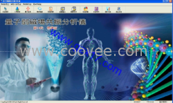 厂家直销繁体中文版量子弱磁场共振分析仪