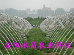 供应新型钢塑复膜无支柱大棚支架机