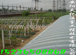 供應無機大棚骨架機 溫室大棚 天億溫室工程