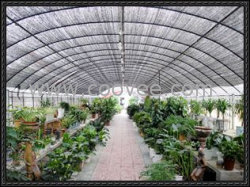 供應環保型無支柱大棚骨架機 保溫板大棚 花卉大棚 天億溫室工程