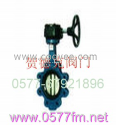 支耳式蝶閥 ,賀德克閥門 ,永嘉縣賀德克閥門