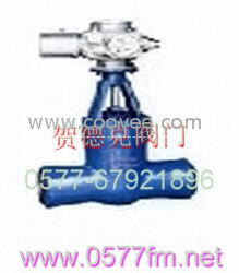 高溫高壓電站閥 ,賀德克閥門(mén) ,永嘉縣賀德克閥門(mén)