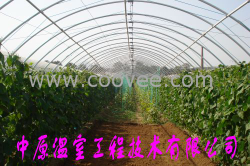 供應鋼管鍍塑大棚骨架機 無支柱大棚材料 中原溫室工程
