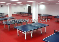 供應乒乓球運動地板