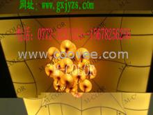 防城港軟膜天花/的工程/實在的價格