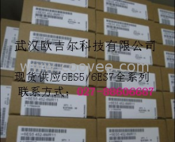 武漢歐吉爾供應6ES7193-1CH00-0XA0