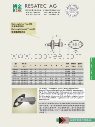 供應(yīng) 瑞士 RESATEC 鏈條驅(qū)動(dòng)型