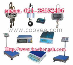 供上海保衡電子秤，500kg不銹鋼電子秤，服務周到，質量高，價格實惠