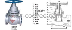 供应柱塞闸阀UZ41H-25