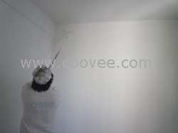 供應深圳南山、寶安、龍華刷墻漆,刷墻漆的注意事項