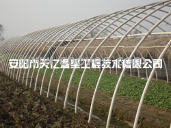 供應蔬菜無支柱大棚 天億