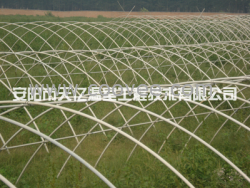 供應鋼管多功能大棚/天億溫室工程