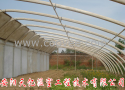 供应蔬菜大棚骨架机/建设/大棚天亿温室工程