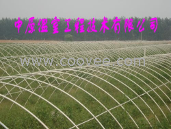 供應蔬菜大棚骨架機 新型無支柱大棚材料 中原溫室工程