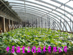 供應(yīng)【復(fù)合】大棚骨架骨架機 中原溫室工程