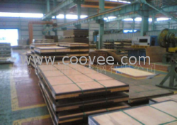304不銹鋼板40mm/80mm厚，原平板