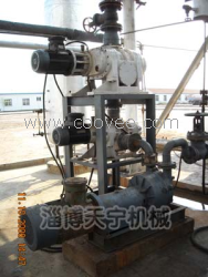 供應JZJ2B羅茨水環式真空泵在選礦、化工等行業的使用