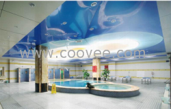 供應濰坊防A級軟膜天花吊頂材料、精彩“飾”界、由‘1彩’掌控凱