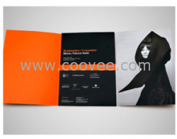 深圳設計公司,深圳廣告公司,深圳廣告設計|深圳畫冊設計,深圳標志設計,深圳包裝設計,深圳VI設計，深