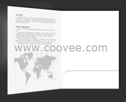 深圳標志設計，深圳VI設計|深圳畫冊設計，深圳包裝設計，深圳企業(yè)形象設計，深圳廣告公司，深圳設計公司