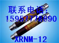 供应高压熔管 XRNM-12, XRNM强力打造