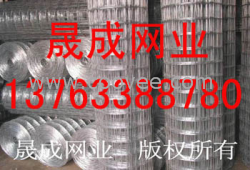 供应钢板网，广州钢板网，海南钢板网批发