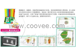 供應千帆有機高分子包埋式少兒益智標本