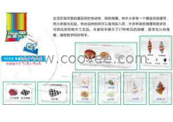供應千帆有機高分子包埋式少兒益智標本