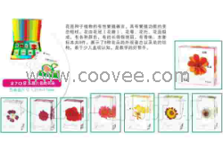 供應千帆有機高分子包埋式少兒益智標本