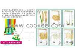 供應千帆有機高分子包埋式少兒益智標本