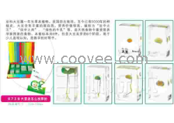 供應千帆有機高分子包埋式少兒益智標本