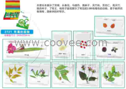 供应千帆有机高分子包埋式少儿益智标本