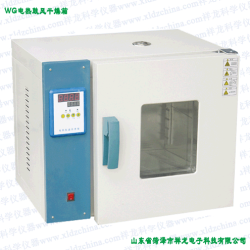 供應電熱鼓風干燥箱