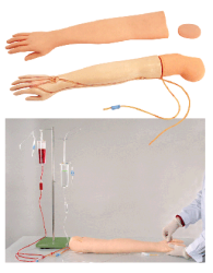 上?？嫡x生產(chǎn)手臂注射模型、手臂模型、靜脈穿刺訓練手臂、假肢