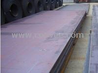 90SiCr5 C75W3合金工具鋼