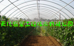 供應鋼管鍍塑材料 復合材料大棚 天億溫室工程