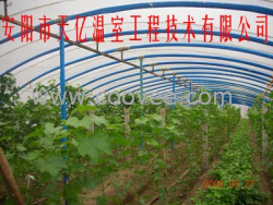 供應鋼管鍍塑大棚骨架機 溫室大棚工程