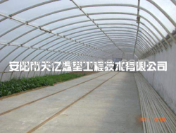 供应大棚骨架 大棚骨架机 新型大棚骨架 天亿温室工程