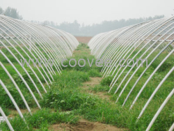 供應(yīng)覆膜鋼管蔬菜大棚