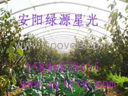 大棚泥鳅养殖蔬菜大棚骨架  蔬菜大棚骨架机 安阳绿源星光