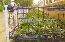 供應(yīng)大棚隔離柵