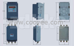 供应福建代理雷诺尔软起动器现货SSD-5.5KW；SSD-11KW