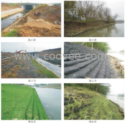 廠家直供生態袋