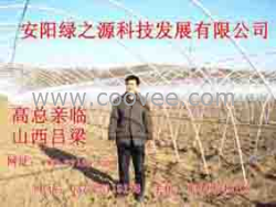 供應新型大棚骨架機 全自動大棚鍍塑機