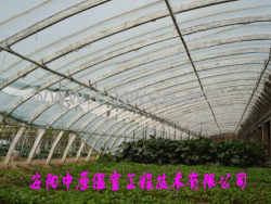 供应复合材料蔬菜大棚 中原温室工程