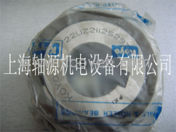 供應6121317YSX偏心軸承