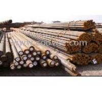 供應AISI52100 SAE52100美國碳素鋼