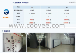 供应武胜机房托管-国际出口线路托管-电信优化段机房-南翔电信机房大托管