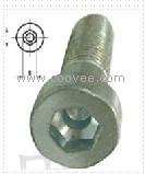 供應薄型內六角圓柱頭螺釘