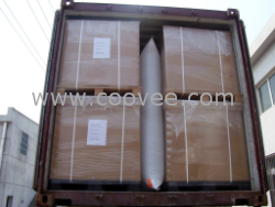 供應集裝箱空氣袋